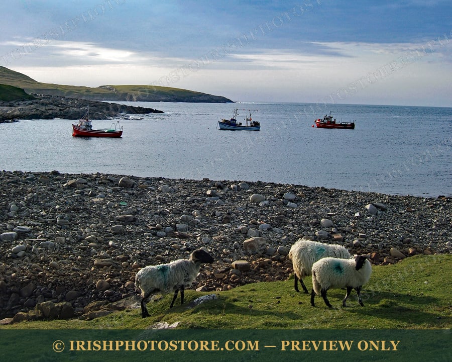 Belderrig Harbor ~ Belderrig ~ County Mayo