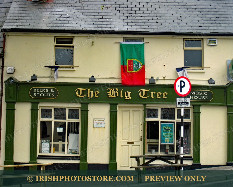 Big Tree Bar ~ Westport ~ County Mayo