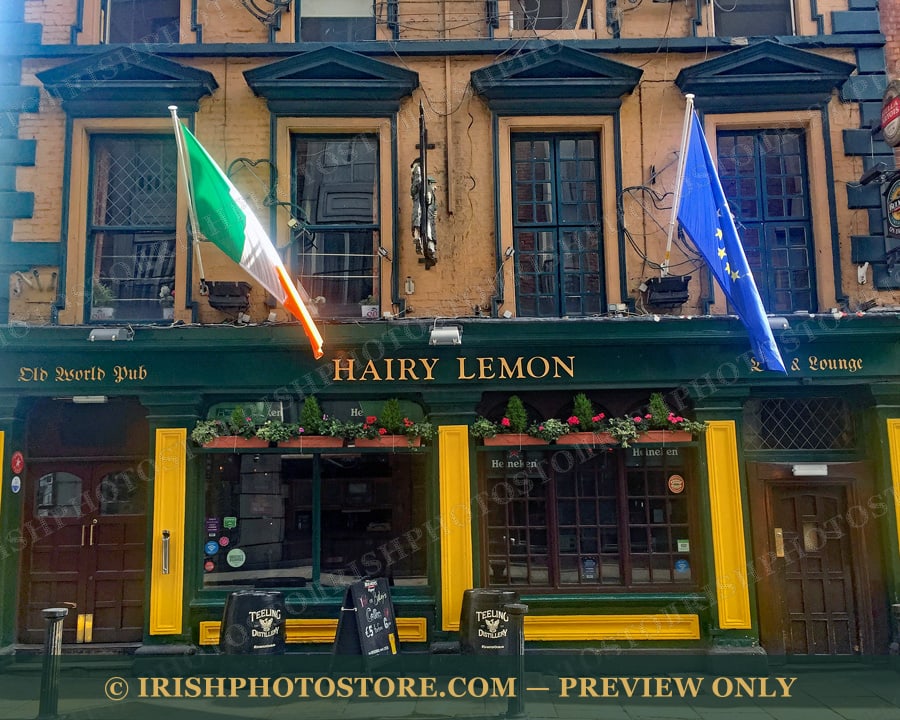 Hairy Lemon Bar ~ Dublin ~ County Dublin