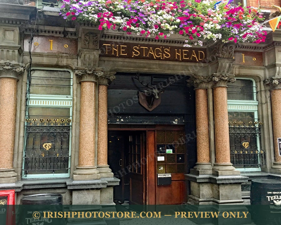 Stag’s Head Bar ~ Dublin ~ County Dublin